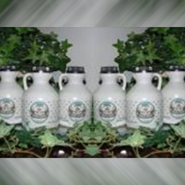 Case of 6 pints of Pure Maple Syrup